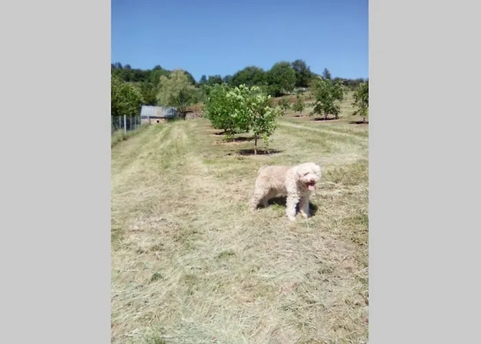 La Truffiere Castelnau-de-Mandailles