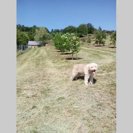La Truffiere Castelnau-de-Mandailles